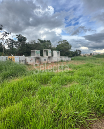 Cópia de Cópia de Santo Antônio (3)