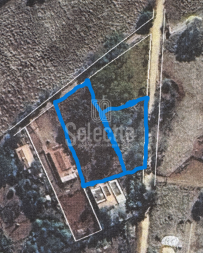 Cópia de Santo Antônio (6)